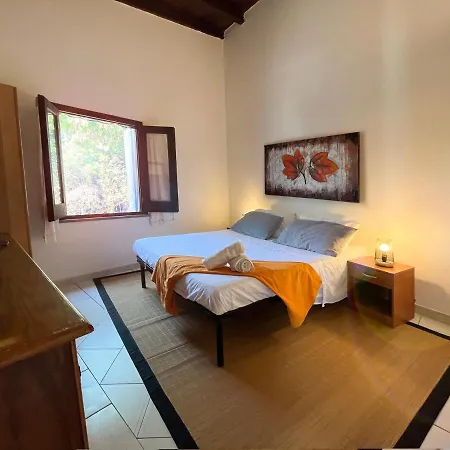 Surfing Tatil Evi